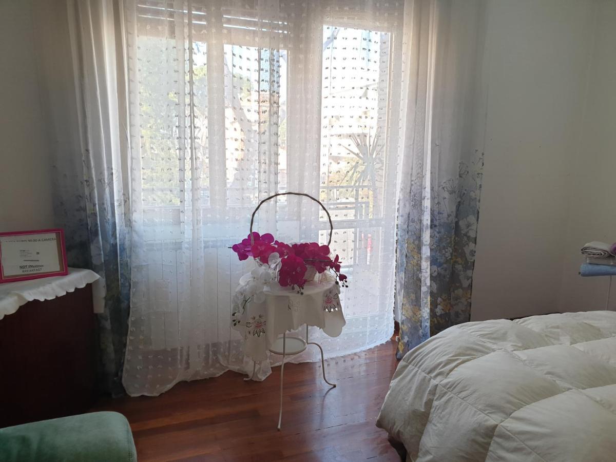 B&B Mary'S House Ciampino Exterior photo