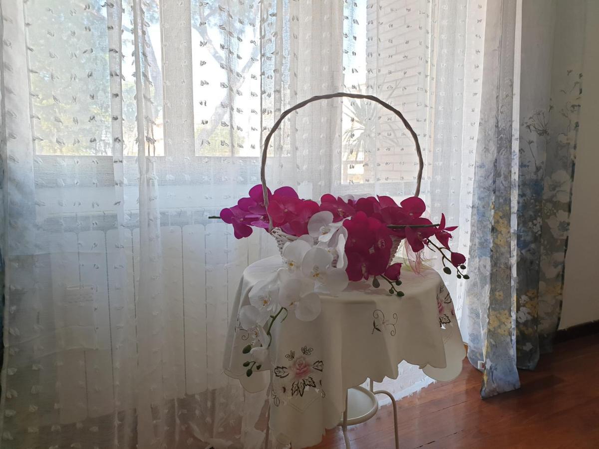 B&B Mary'S House Ciampino Exterior photo
